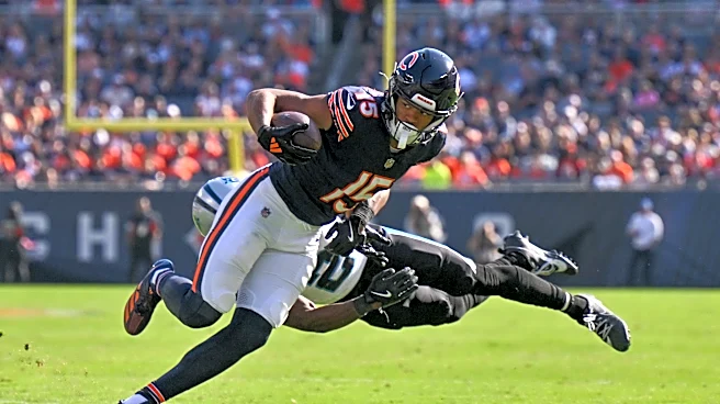 3 causes for concern as the Bears face the Panthers in Week 1