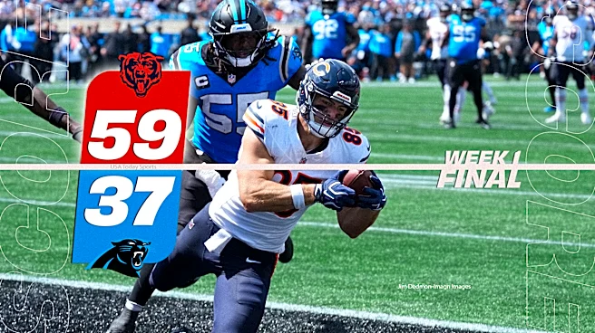 Instant analysis of Bears' dominant win over the Panthers