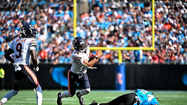 Kalif Raymond reacts to Bears' 59-37 win over the Panthers
