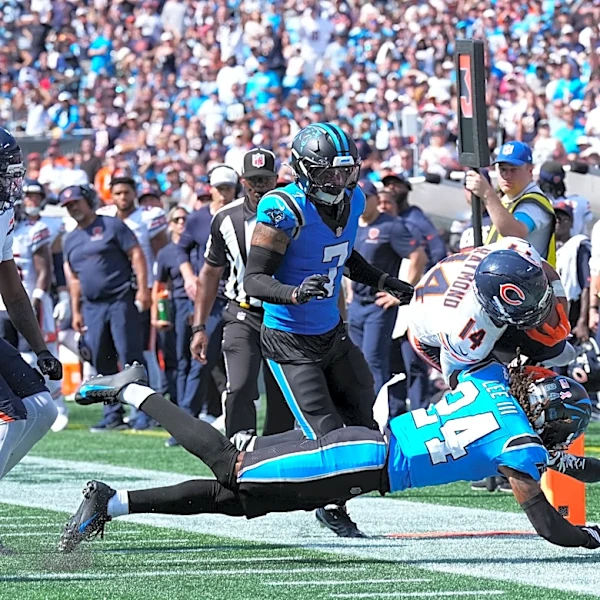 Bear Up, Bear Down: Who helped, hurt stock vs. Panthers
