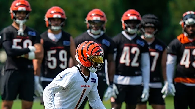 Bengals' Week 1 looking easier thanks to Bucs' Vita Vea trade drama