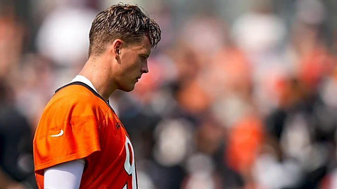 Bengals’ Joe Burrow catches shade from Dan Orlovsky