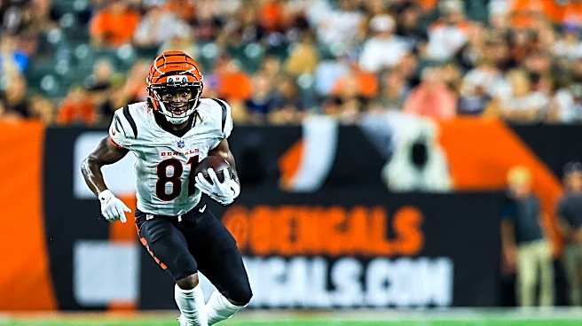 Bengals roster bubble favorites considered ‘virtual locks’