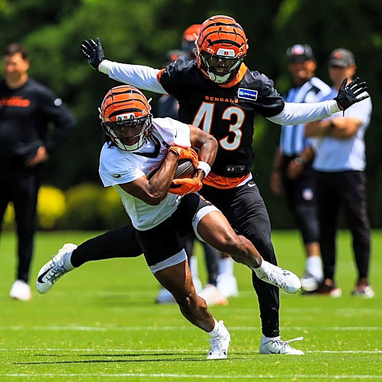Bengals boast sleepers on special teams, too