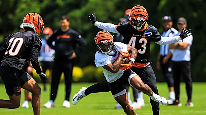 Bengals boast sleepers on special teams, too