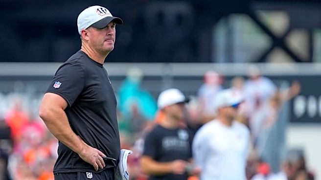 Bengals snubbed from 7-team Super Bowl contender list