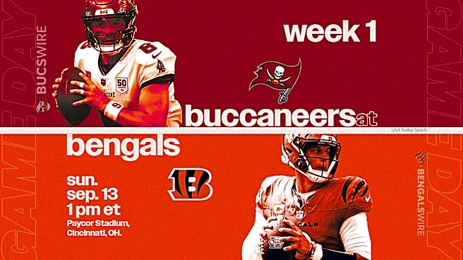 Bucs vs Bengals live updates: Score, highlights, predictions, analysis