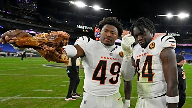 Demetrius Knight, Barrett Carter proving Bengals right so far