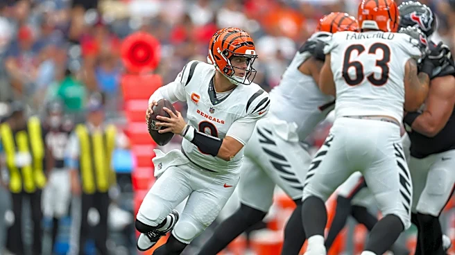 Bengals finally have power rankings taking them seriously
