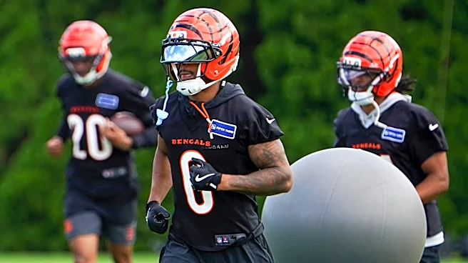 Bengals’ DJ Turner ranks alongside NFL’s elite cornerbacks in key stat