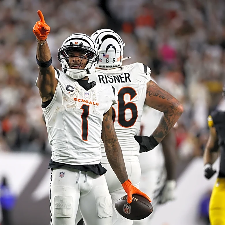What channel is Bengals vs. Steelers on today? Time, TV schedule
