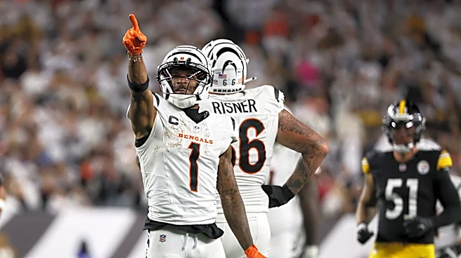 What channel is Bengals vs. Steelers on today? Time, TV schedule
