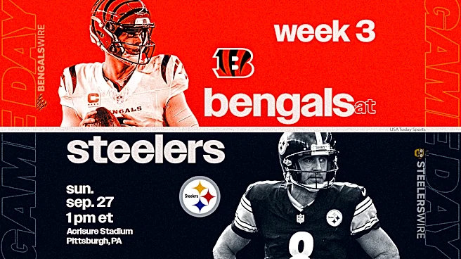 Bengals vs. Steelers live updates: Score, highlights, analysis