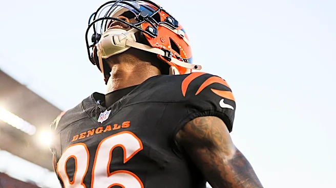 Bengals provide first comments on rookie Colbie Young’s injury