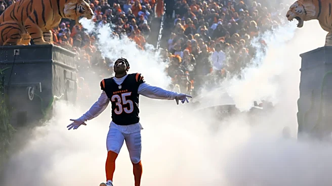 Injury bug hits Bengals at worst possible time
