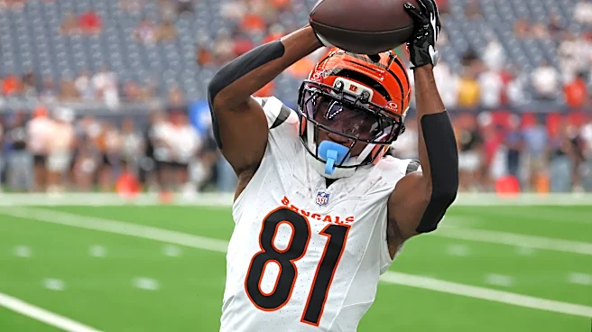 Bengals thrilled with Dohnte Meyers after Iosivas, Young injuries