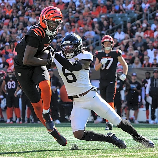 Bengals’ Tee Higgins ranks among NFL’s highest-graded WRs