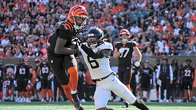 Bengals’ Tee Higgins ranks among NFL’s highest-graded WRs