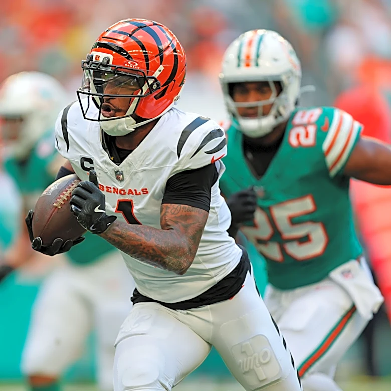 What channel is Bengals vs. Dolphins on today? Time, TV schedule
