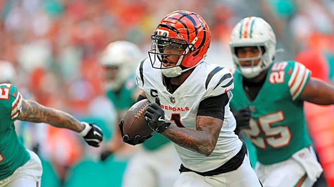 What channel is Bengals vs. Dolphins on today? Time, TV schedule