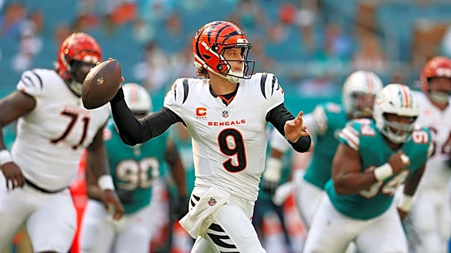Final score predictions for Bengals vs. Dolphins in Week 5
