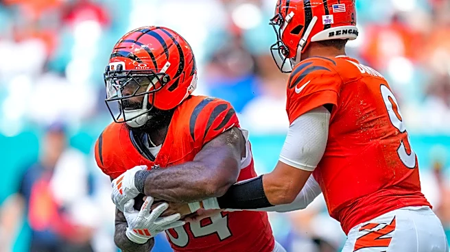 Joe Burrow calls Bengals’ Perine ‘Mr. Reliable’ after Dolphins win