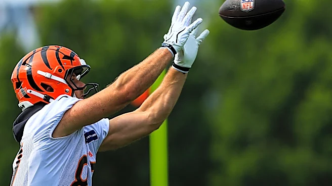 Bengals get bad bye week injury news that requires roster move