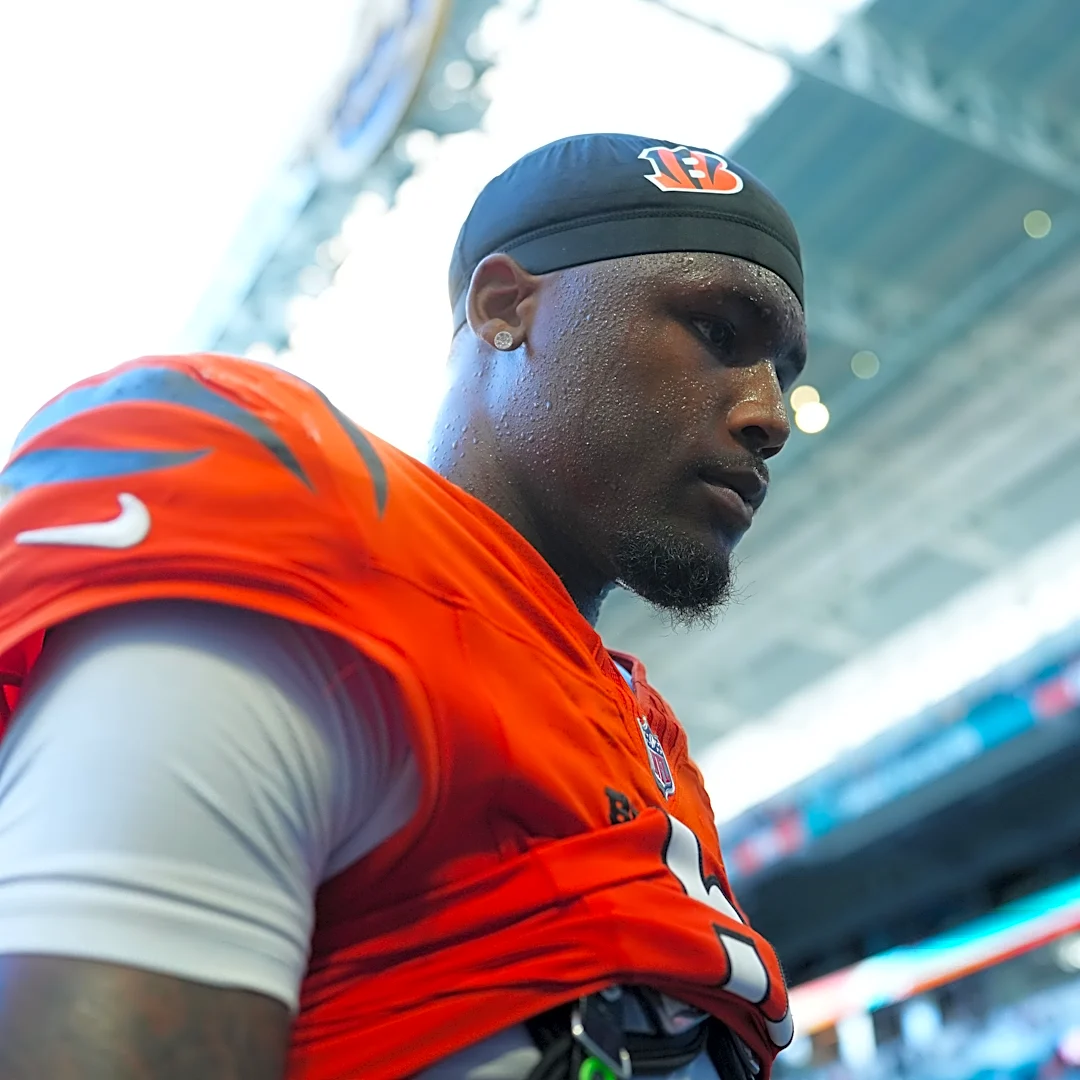 Bengals legend Chad Johnson calls Tee Higgins grab best he’s seen