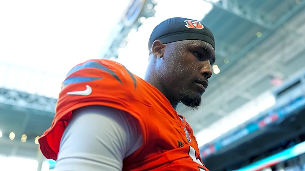 Bengals legend Chad Johnson calls Tee Higgins grab best he’s seen
