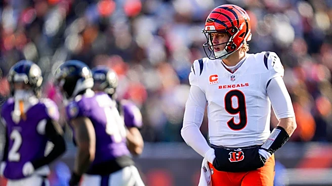 What channel is Bengals vs. Ravens on today? Time, TV schedule