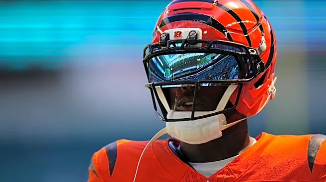 Bengals' playoff seeding outlook after win over Ravens