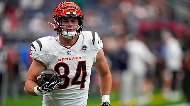 Bengals' Zac Taylor delivers vote of confidence in rookie TE