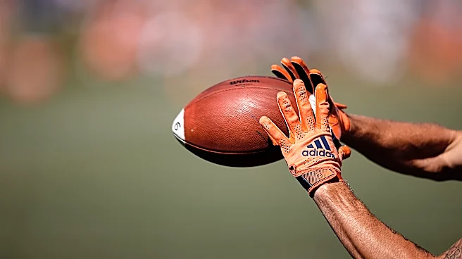 Broncos lost 2 players on NFL's waiver wire (both to the same team)