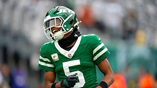 Former Ohio State WR Garrett Wilson make ridiculous one-handed grab