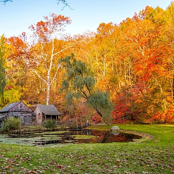 When to expect leaves to change in Bucks County
