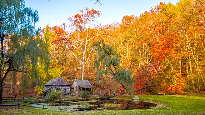 When to expect leaves to change in Bucks County