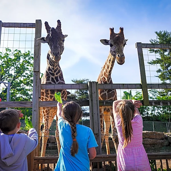 Philly-area zoo is offering free admission on Labor Day