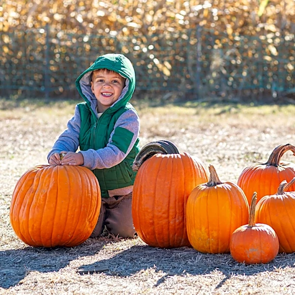 Here are 11 Bucks County farms to visit for fall crops and festivities