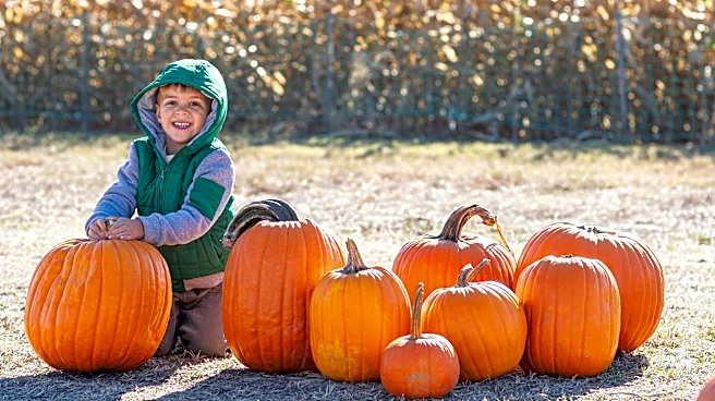 Here are 11 Bucks County farms to visit for fall crops and festivities