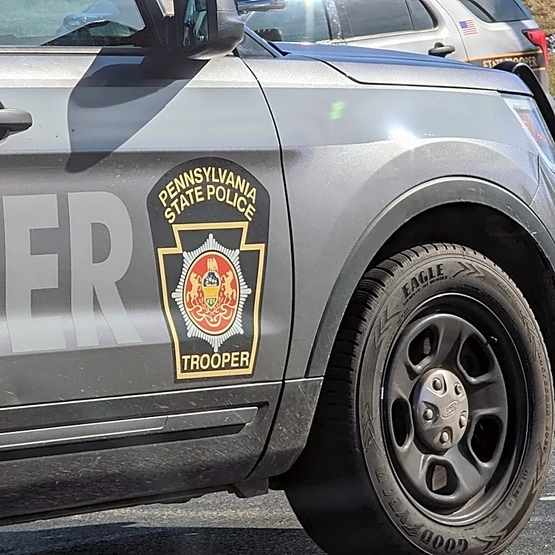 Alleged carjacker picked wrong victim on Upper Bucks road | Exclusive