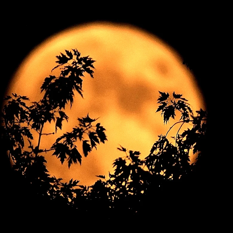 Catch the next full moon, the Hunter’s moon, rising before Halloween
