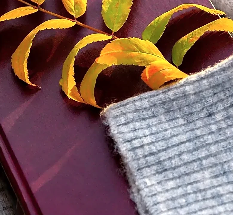 5 Cozy Books For Fall