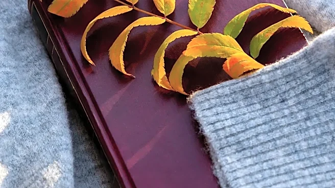 5 Cozy Books For Fall