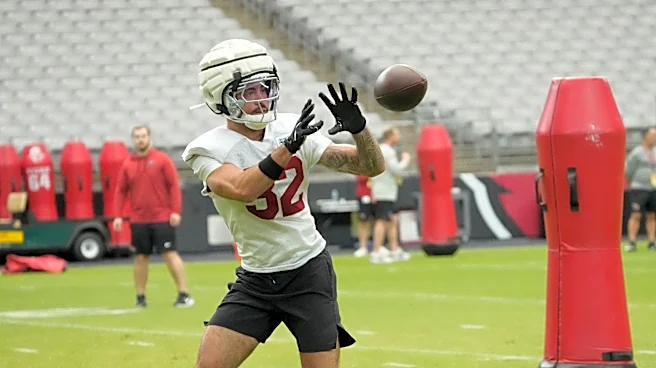 Arizona Cardinals training camp: Return of Joey Blount good for special teams