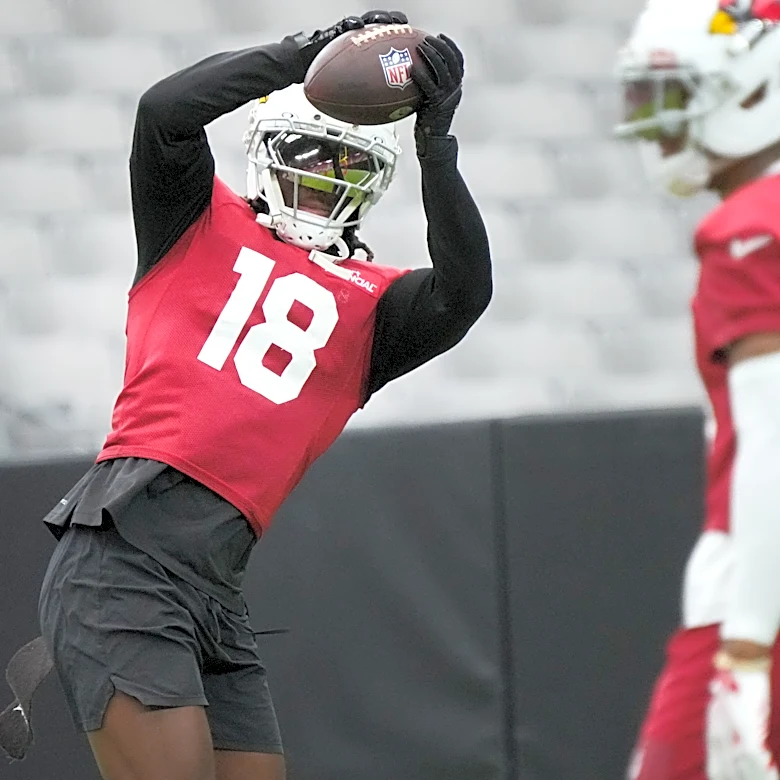 Marvin Harrison injury: Arizona Cardinals WR banged up on Sunday