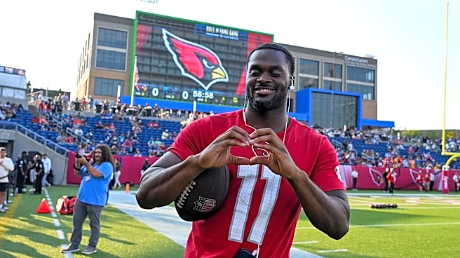 Panthers 33, Cardinals 30: Arizona had 41 players sit out game
