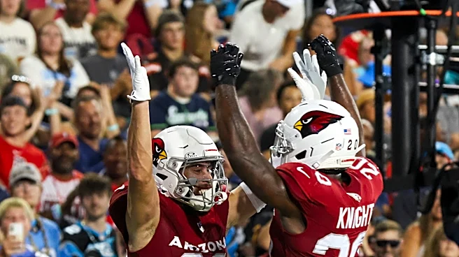 Arizona Cardinals offensive snap counts, observations from preseason opener