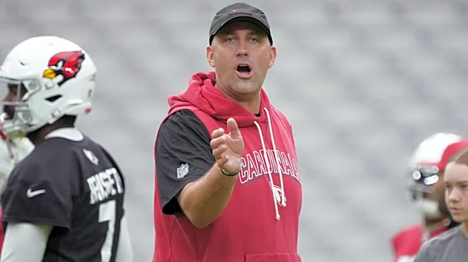 Cardinals QB coach Matt Schaub called plays in preseason finale