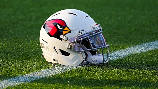 10 days till Arizona Cardinals' opener: Remembering the 2010 season