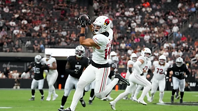 WR Michael Wilson wants to be part of turning Cardinals into winners